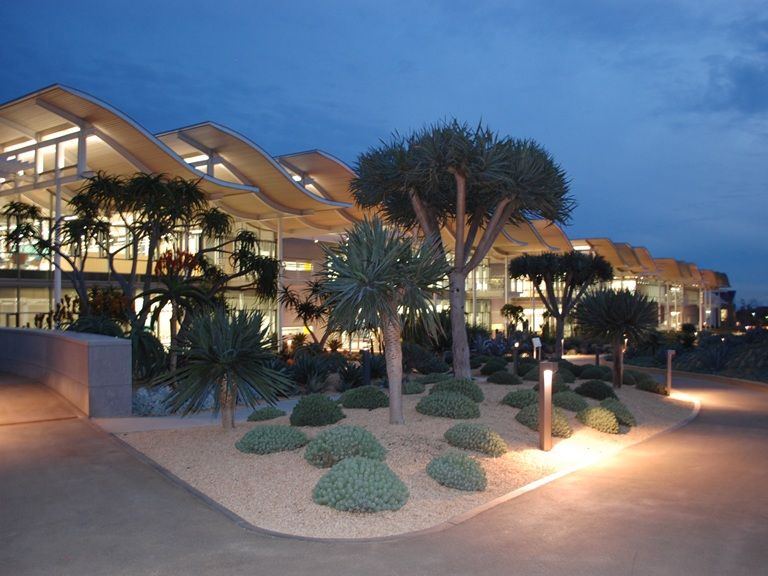 Newport Beach Civic Center Curved Canopies Front View with Palm Trees
